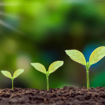 Environmental Clearance